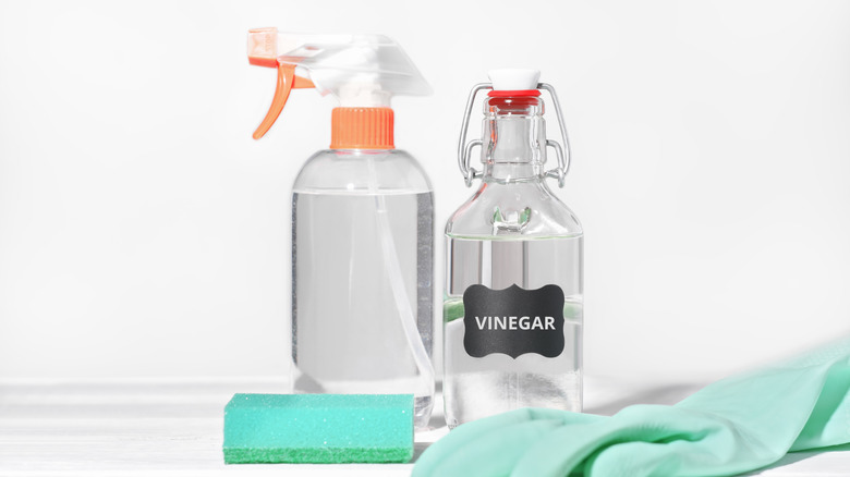 white vinegar in spray bottles next to rubber gloves