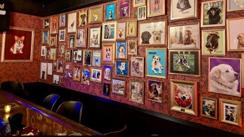 The 'dog wall' at Ruby in Greenwood, featuring the pictures of different dogs brought in by customers over the years.