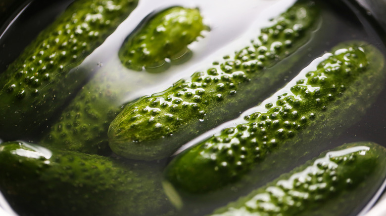 Pickles in their own brine.