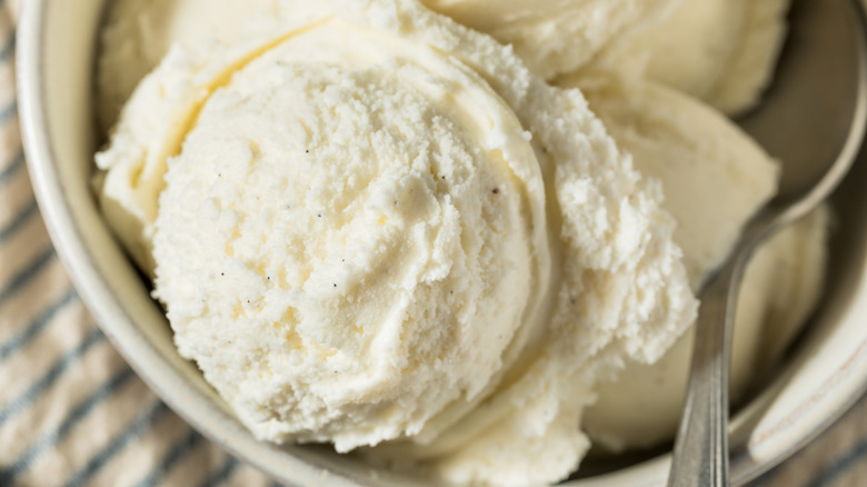A spoon resting in a bowl of homemade vanilla ice cream