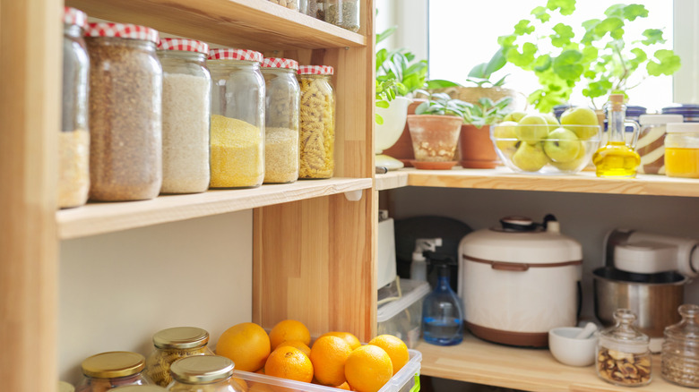 kitchen pantry with organized shelves