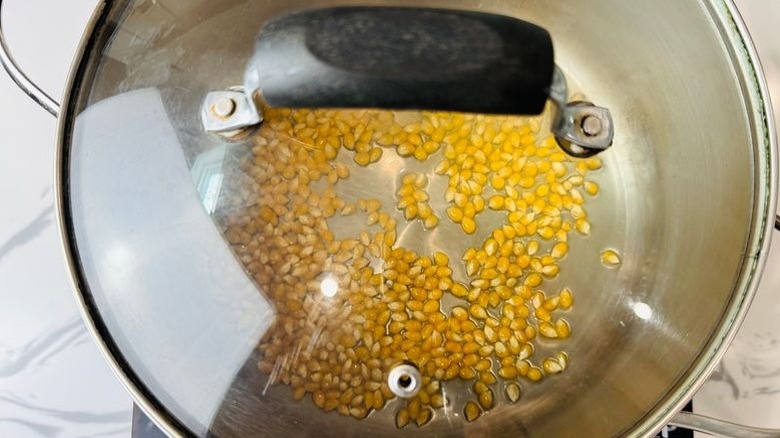Popcorn kernels in large pot with lid on