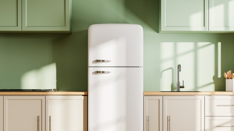 White fridge with plenty of space around it