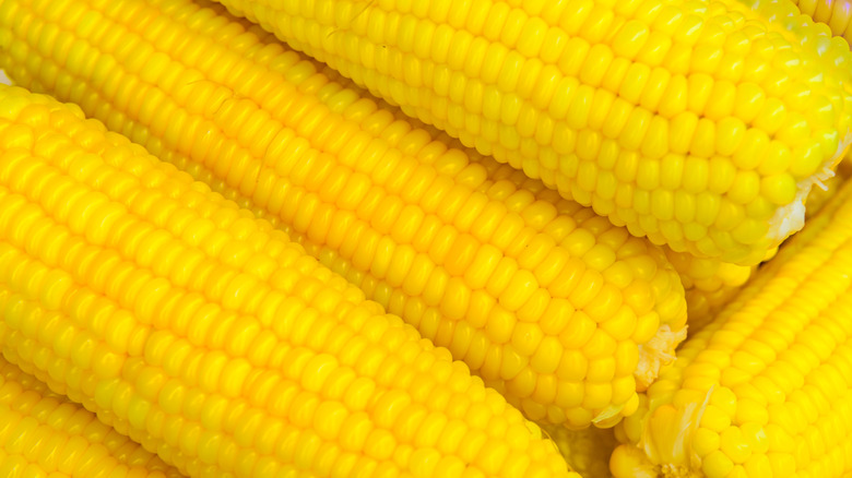 Raw sweet corn