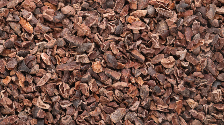 A closeup of cocoa nibs.