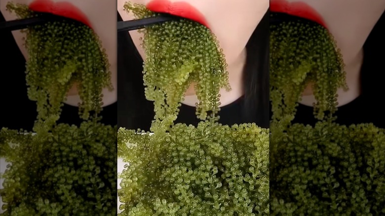 Person eating green fruit ASMR video