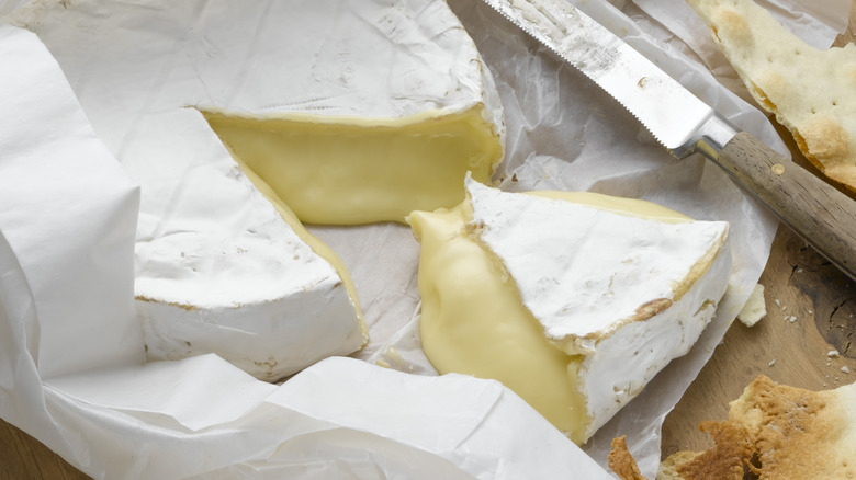 cheese wrapped in paper