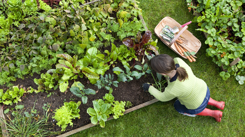 Woman planting in her garden