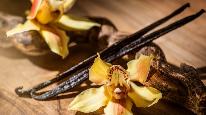 Vanilla flowers and pods close-up