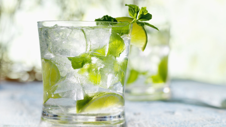 Glasses of iced garnished mojitos