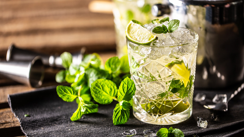 Mojito surrounded by mint leaves.