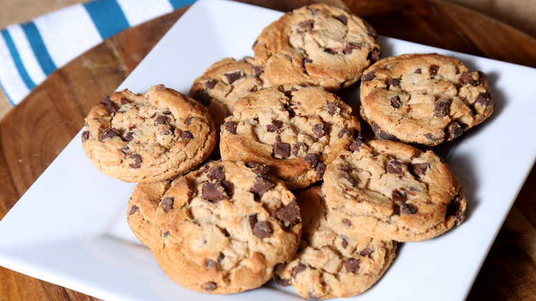 Chocolate chip cookies on a white plate