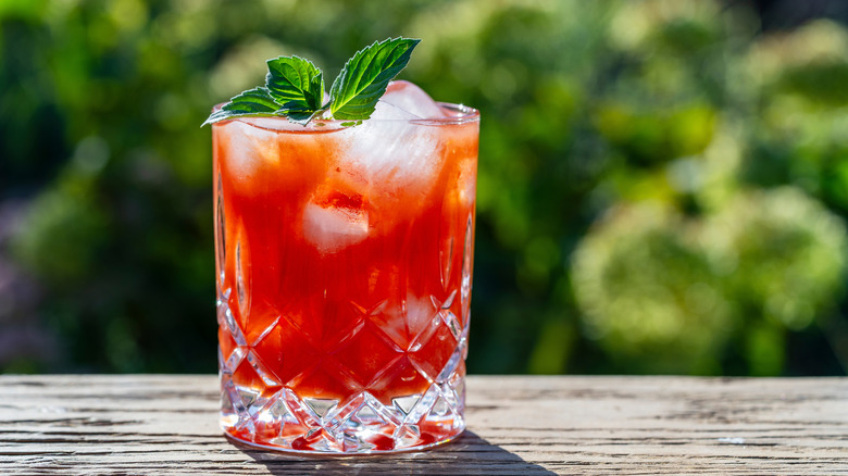 tomato juice cocktail