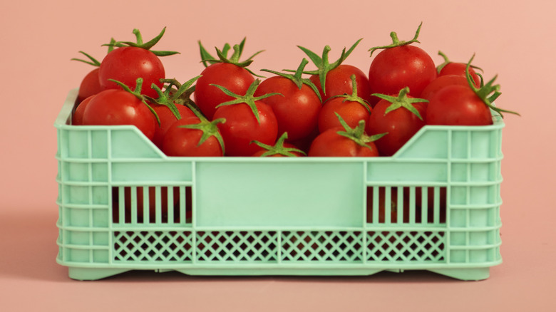 Basket of red cherry tomatoes in a teal crate