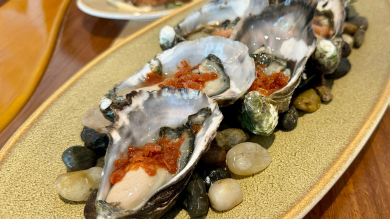 oysters with granita on plate