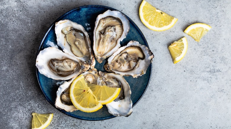 oysters on half shell with lemon slices laid on a blue plate
