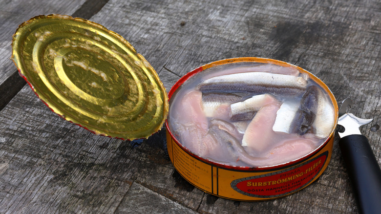An open can of Surströmming on a wooden table