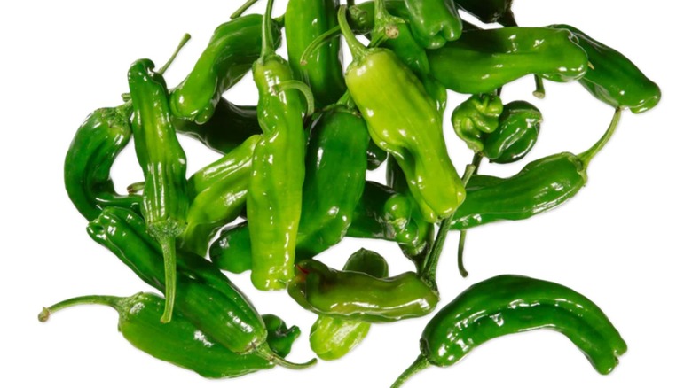 A pile of shishito peppers on a white isolated background