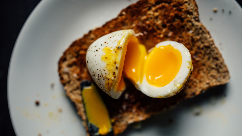 Whole-grain bread with a jammy soft-boiled egg on top on a white plate