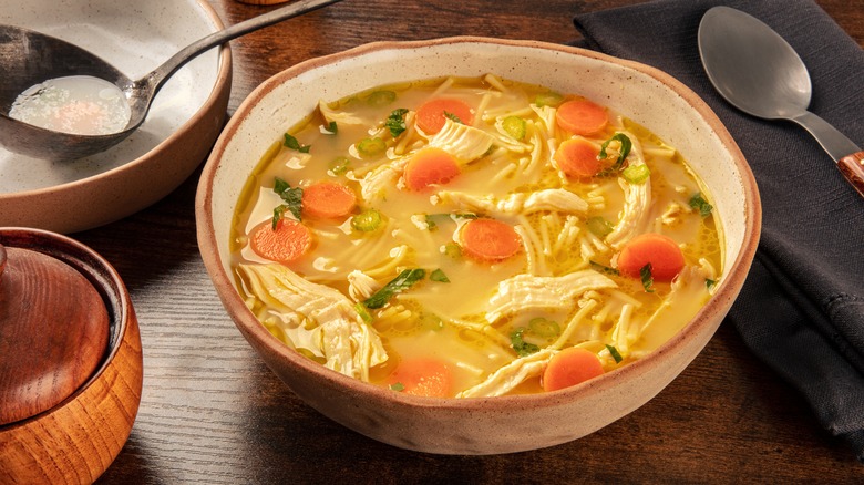 A bowl of chicken noodle soup with vegetables