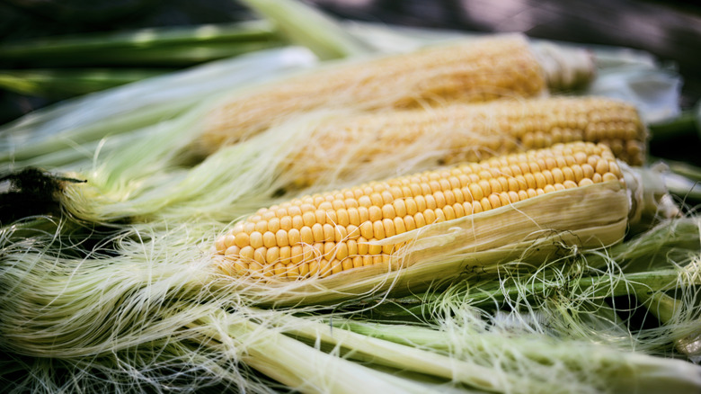 Freshly shucked ears of corn on a wooden table.