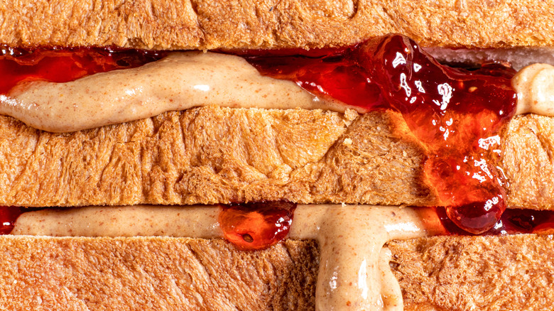 Peanut butter and jelly sandwich close up