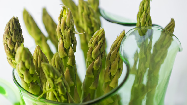 Asparagus in a vase