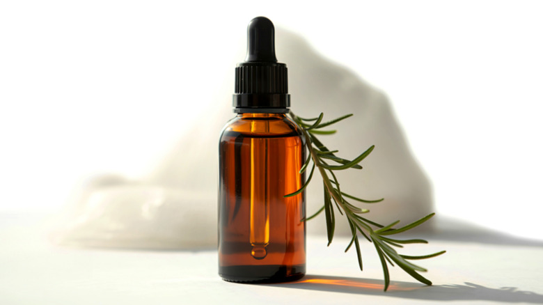 A brown glass dropper bottle with a sprig of rosemary leaned against it