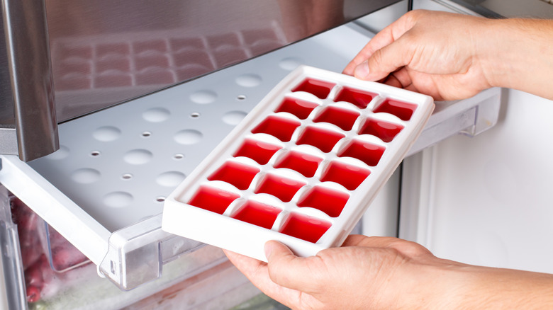 Ice tray filled with red liquid being placed in freezer.