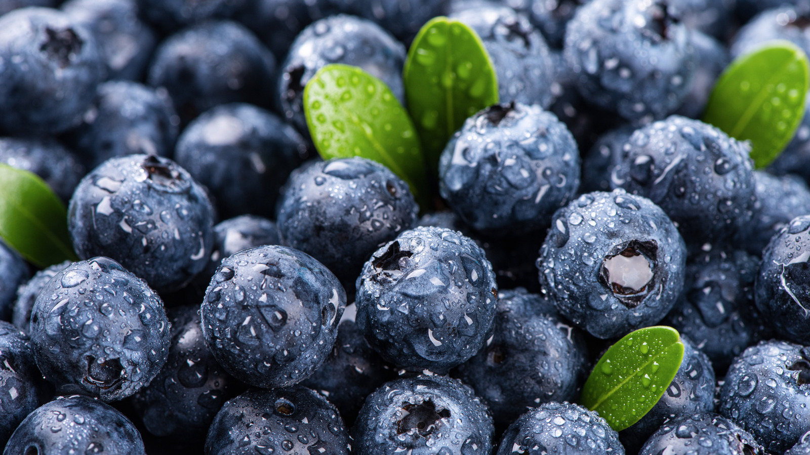 Blaubeeren mit nur 2 zusätzlichen Zutaten in die perfekte Praline ...