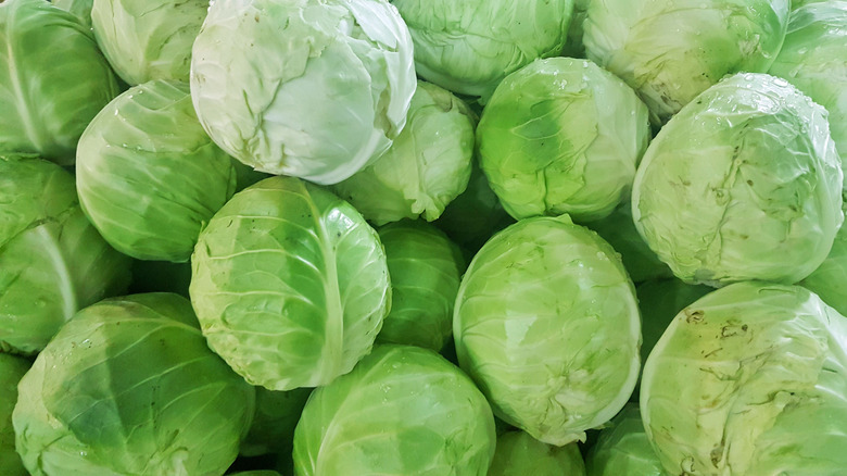 whole heads of cabbages in a pile