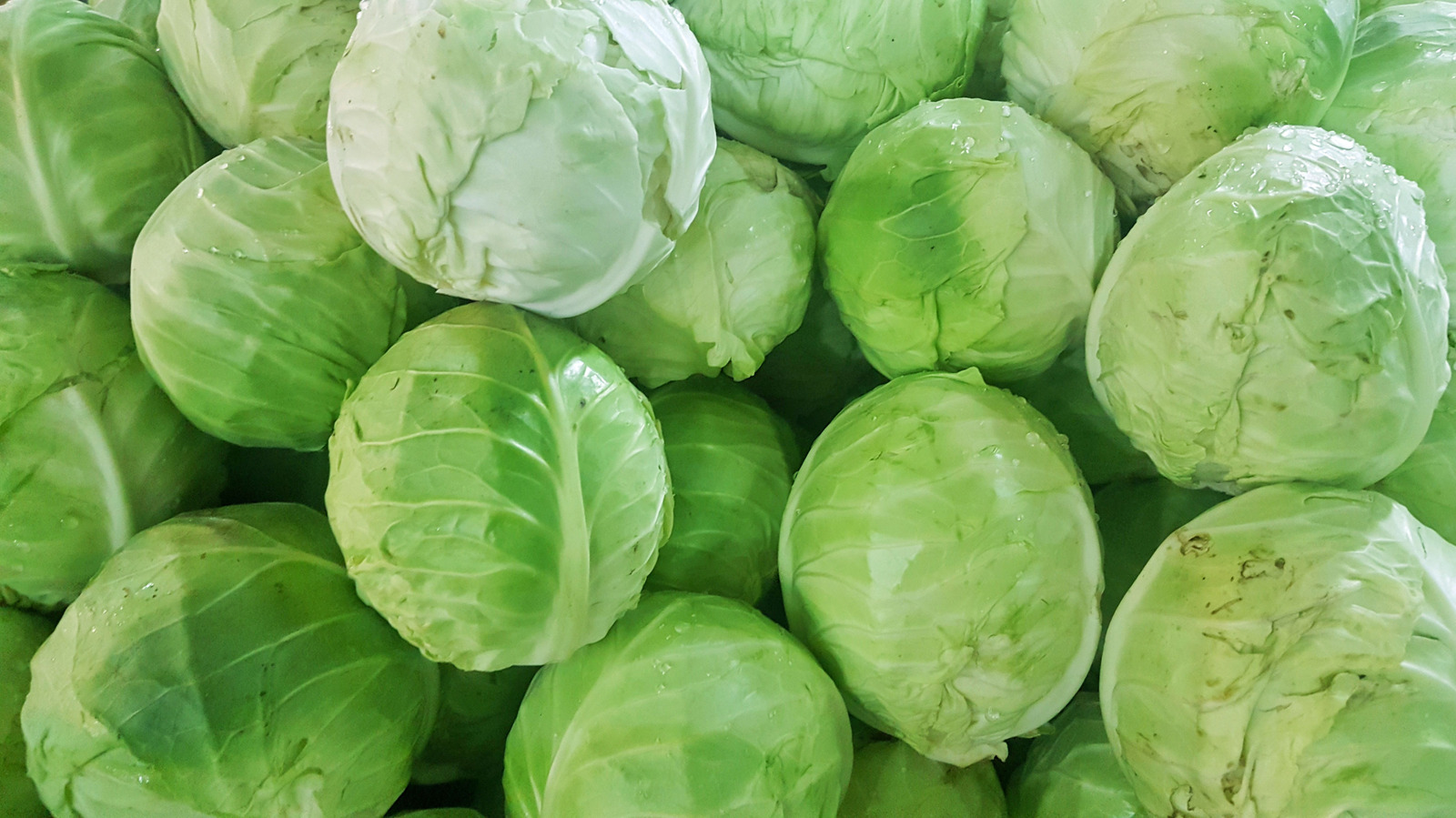 Turn Dull Cabbage Into A Creamy, Comforting Meal With One Canned Soup