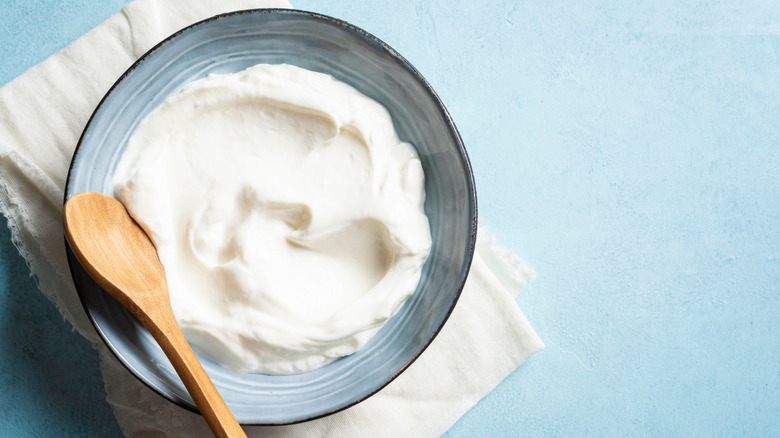 bowl of homemade greek yogurt