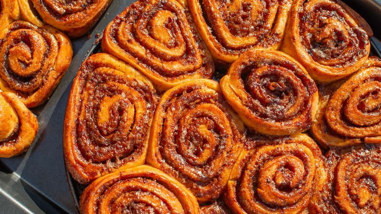 Cinnamon rolls arranged on a baking sheet