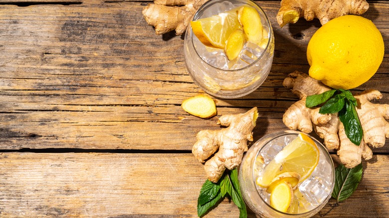 Fzzy drinks with ginger and lemon garnishes