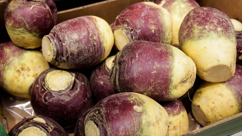 rutabaga bulbs