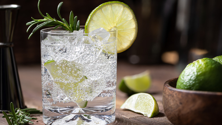 A classic gin and tonic cocktail with a lemon slice and fresh herb sprig in a highball glass