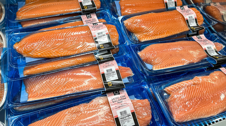 salmon filets at the store