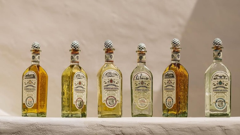 Various expressions of Fortaleza tequila in front of a neutral toned background