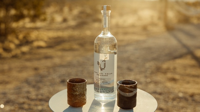 A bottle of Real del Valle tequila with two cups on a round table