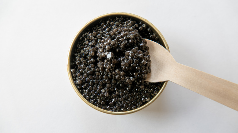 Wooden spoon in a tin of black caviar
