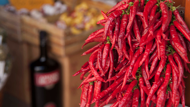 Calabrian chili peppers hung up in market