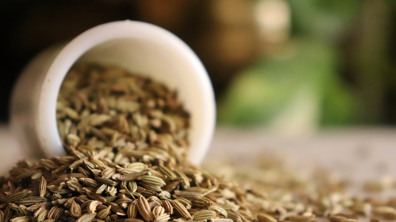 Fennel seeds spilling out of a white container