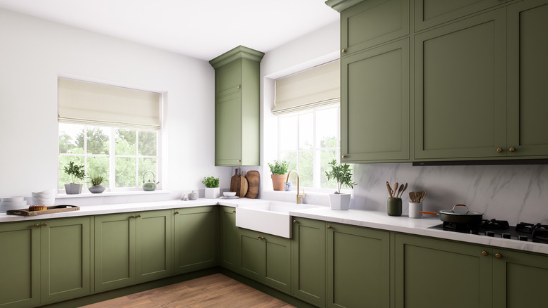 a kitchen with plain green cabinets