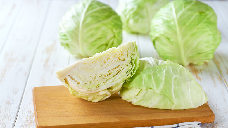 freshly cut green cabbage