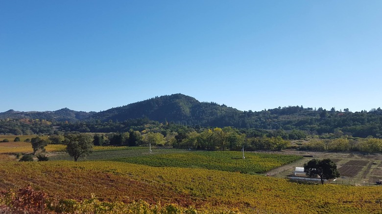 a view of SingleThread Farm in Healdsburg, California