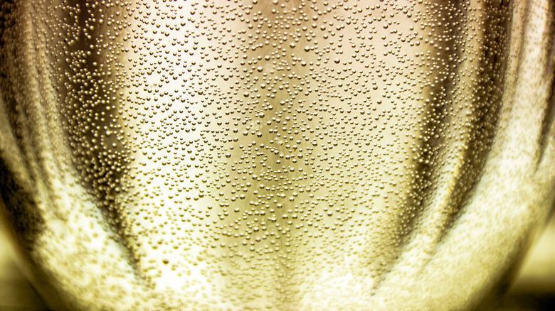 Bubbles in champagne's fizz