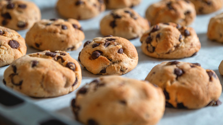 Chocolate chip cookies