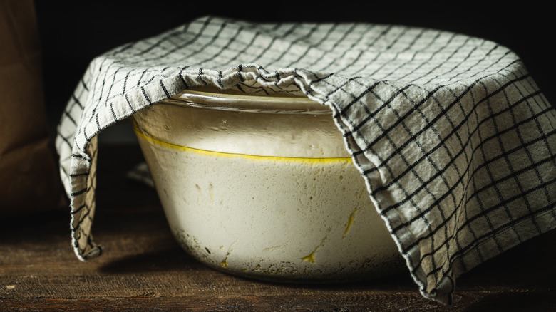 Bread dough in glass bowl covered by kitchen towel