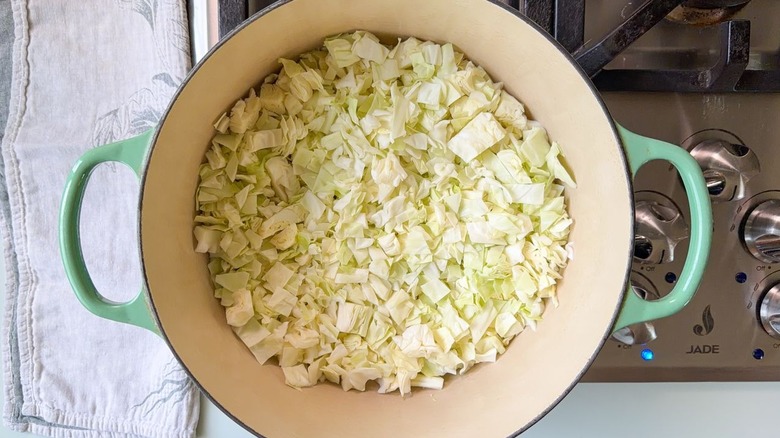 Chopped green cabbage in green Dutch oven on stovetop